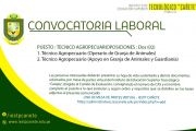 PROCESO DE CONVOCATORIA VIRTUALPROCESO DE CONVOCATORIA VIRTUAL